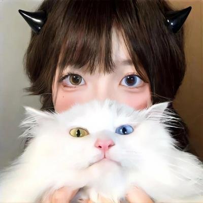疯狂孖宝 封面